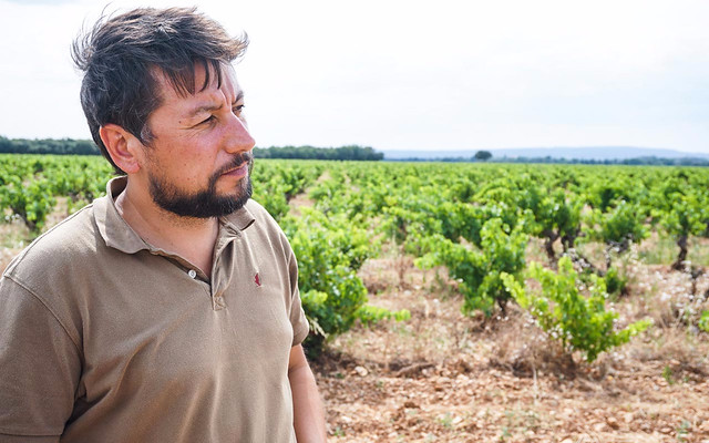 Romain Roche Domaine Roche